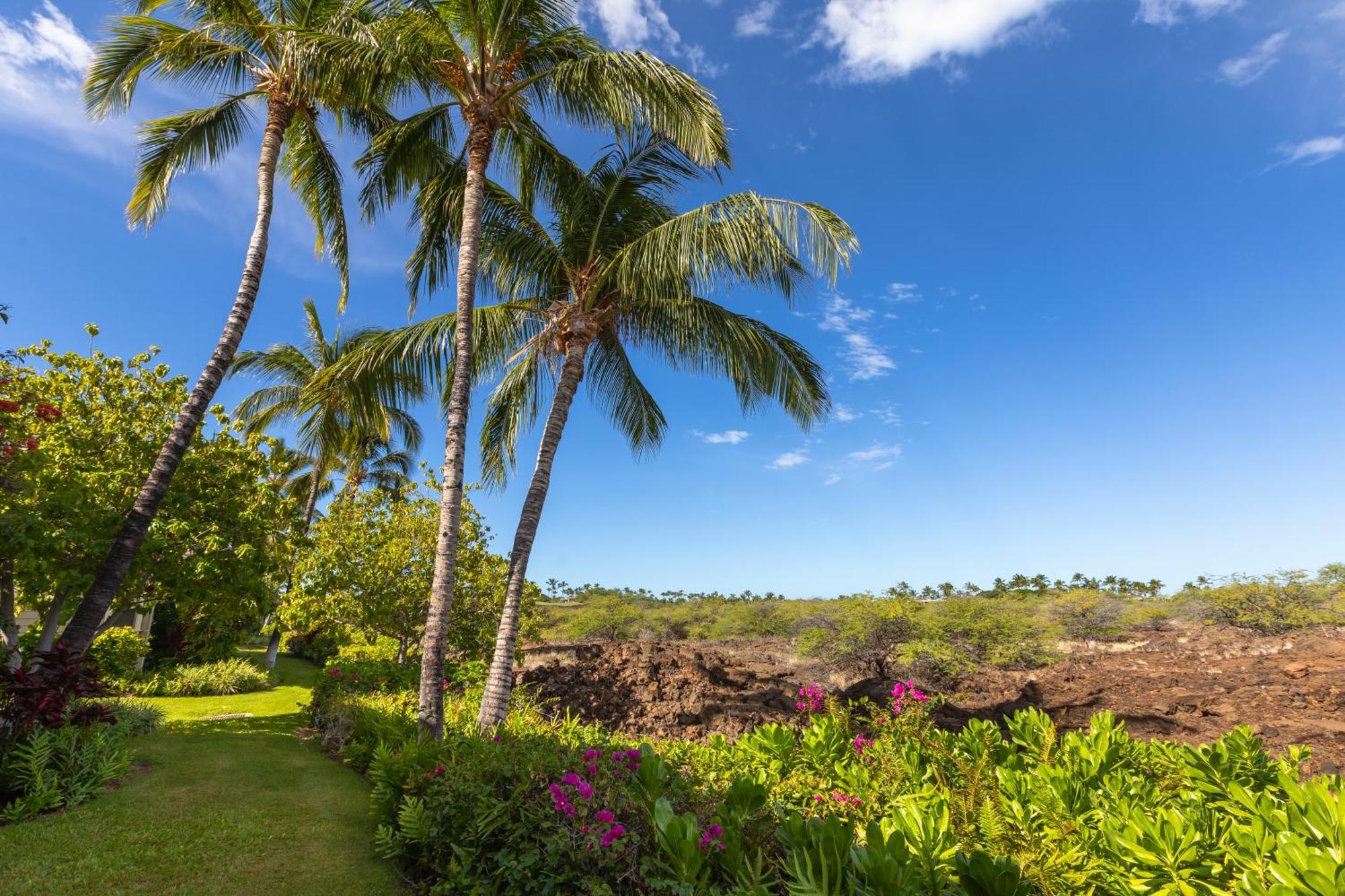 Mauna Lani Palm Villas D-2 Corner Unit Historic View Waikoloa Ngoại thất bức ảnh